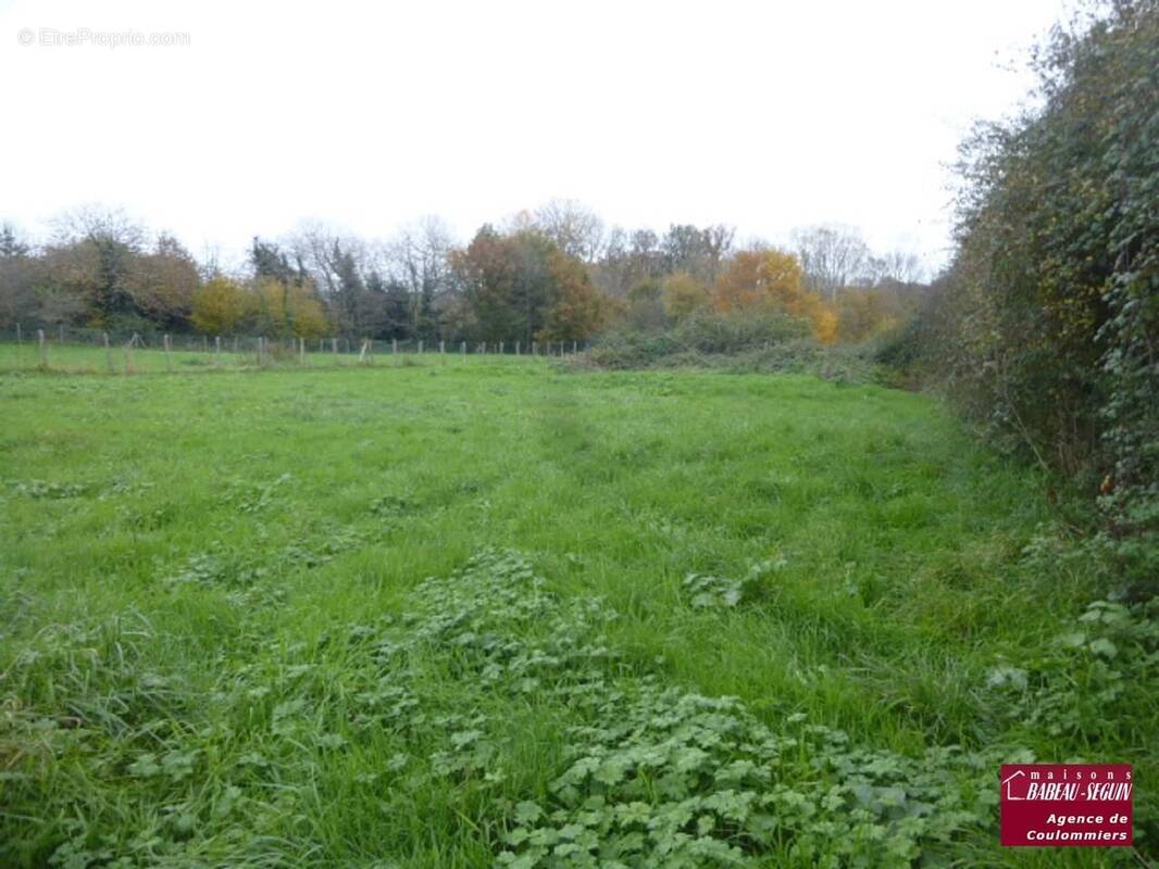 Terrain à VILLENEUVE-SUR-BELLOT