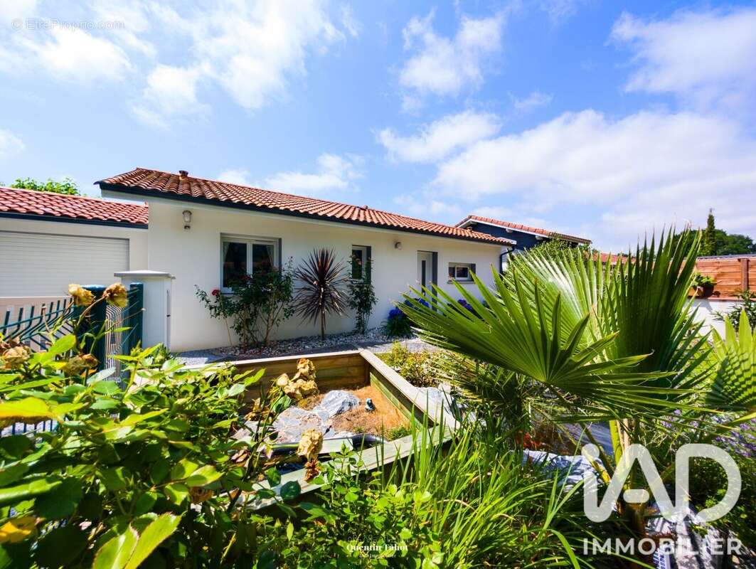 Photo 2 - Maison à BENESSE-MAREMNE