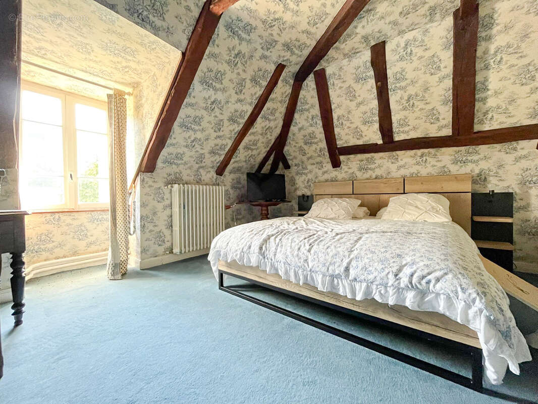 CANTAL, Château des Sources à vendre - photo 13