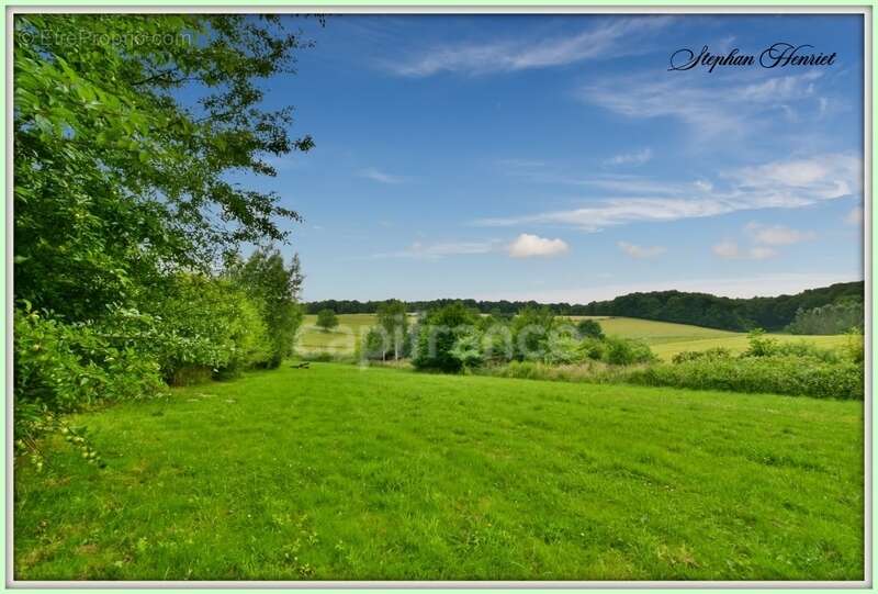 Terrain à BOULT-AUX-BOIS