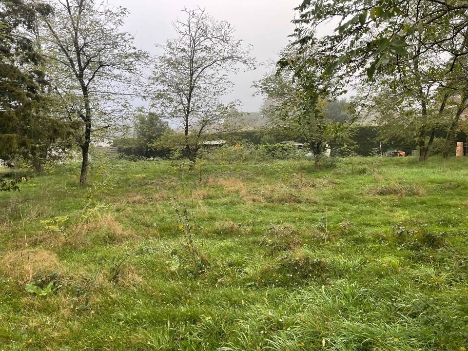 Terrain à SAINT-MEDARD-EN-JALLES