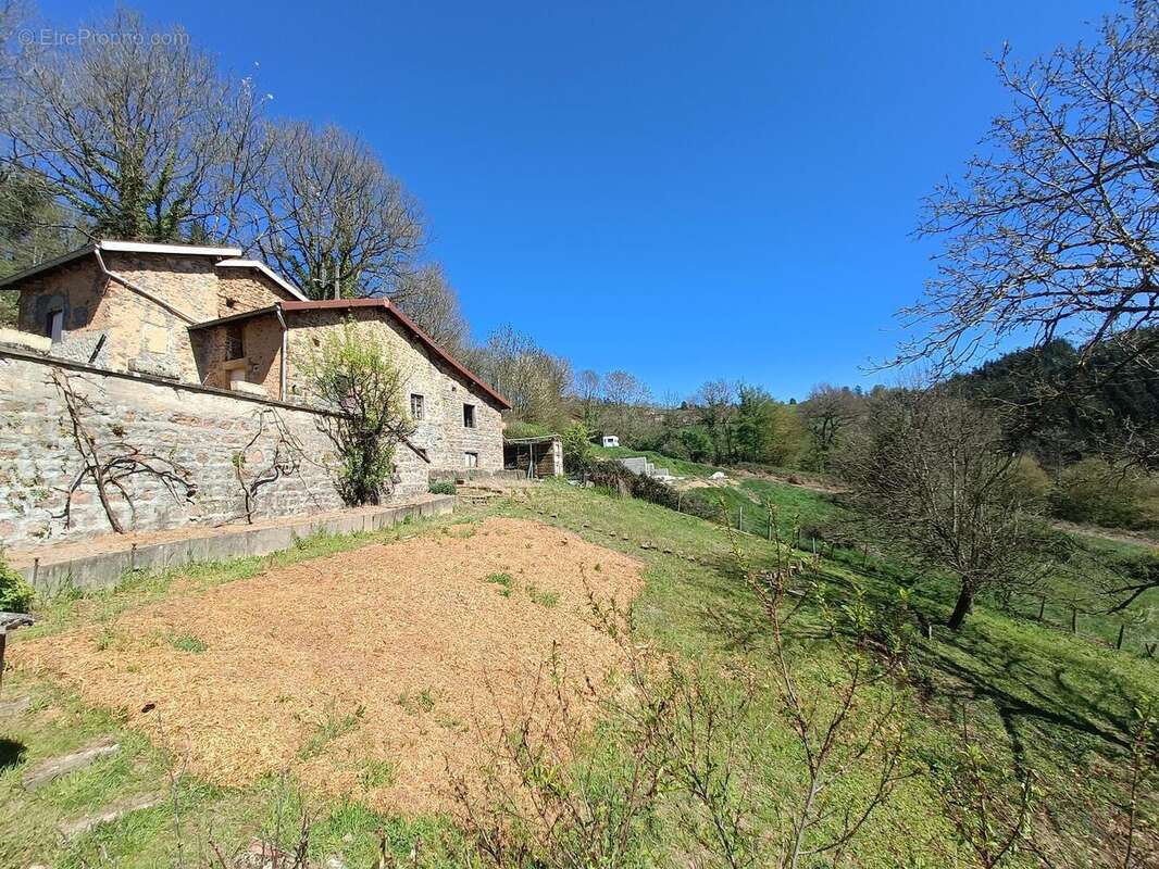 Photo 3 - Maison à THIZY