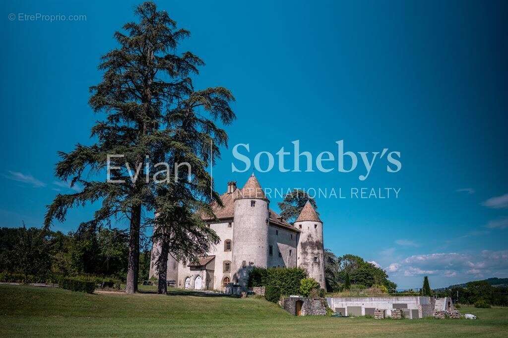 Château aux portes de genève - photo 9
