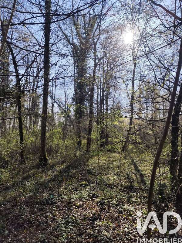 Photo 6 - Terrain à SURY-PRES-LERE