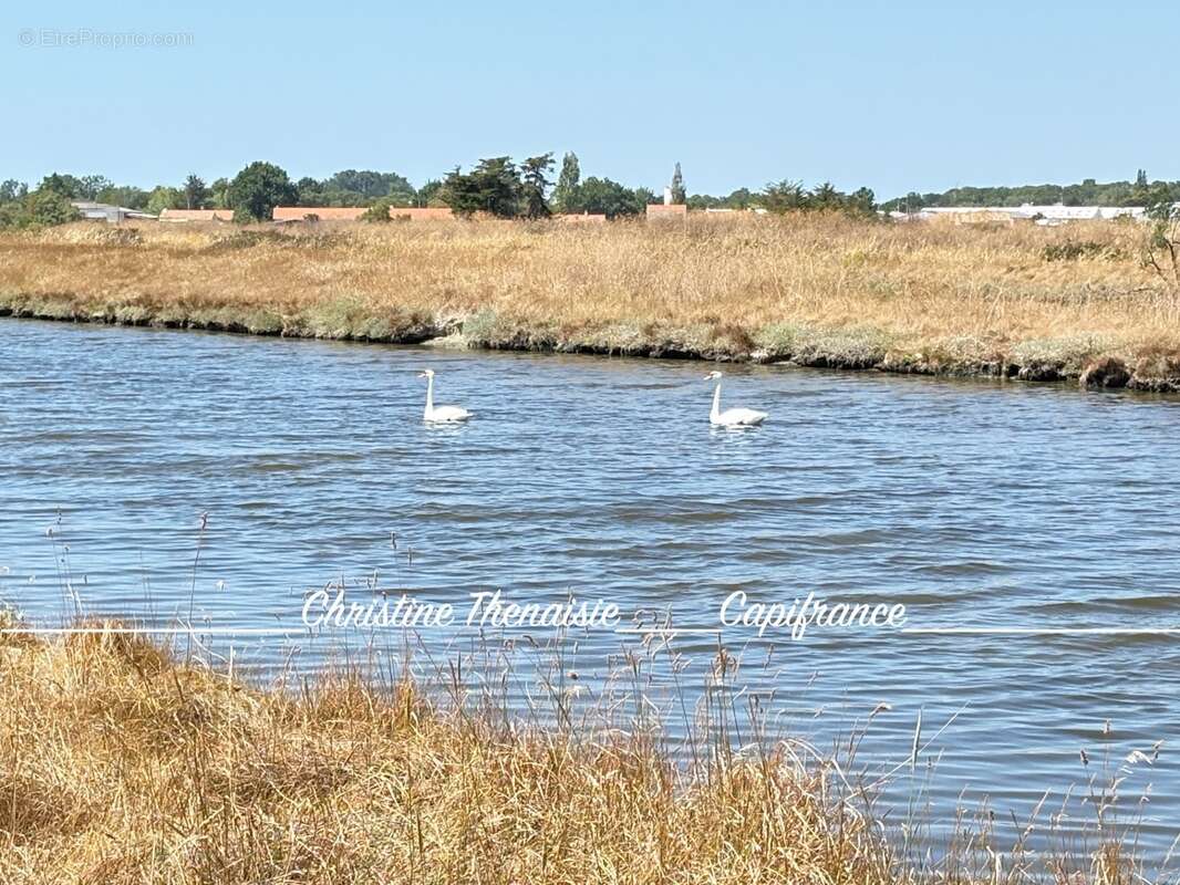MARAIS avec cabane flottante à vendre Route du Sel à SAINT HILAIRE DE RIEZ (85) - photo 2