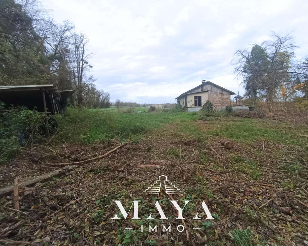 Terrain à STEINBRUNN-LE-BAS