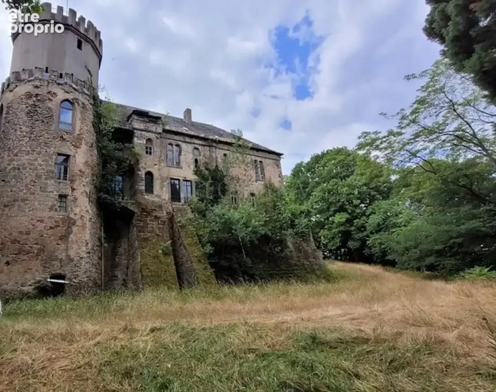 Chateau historique en nid d'aigle - photo 3