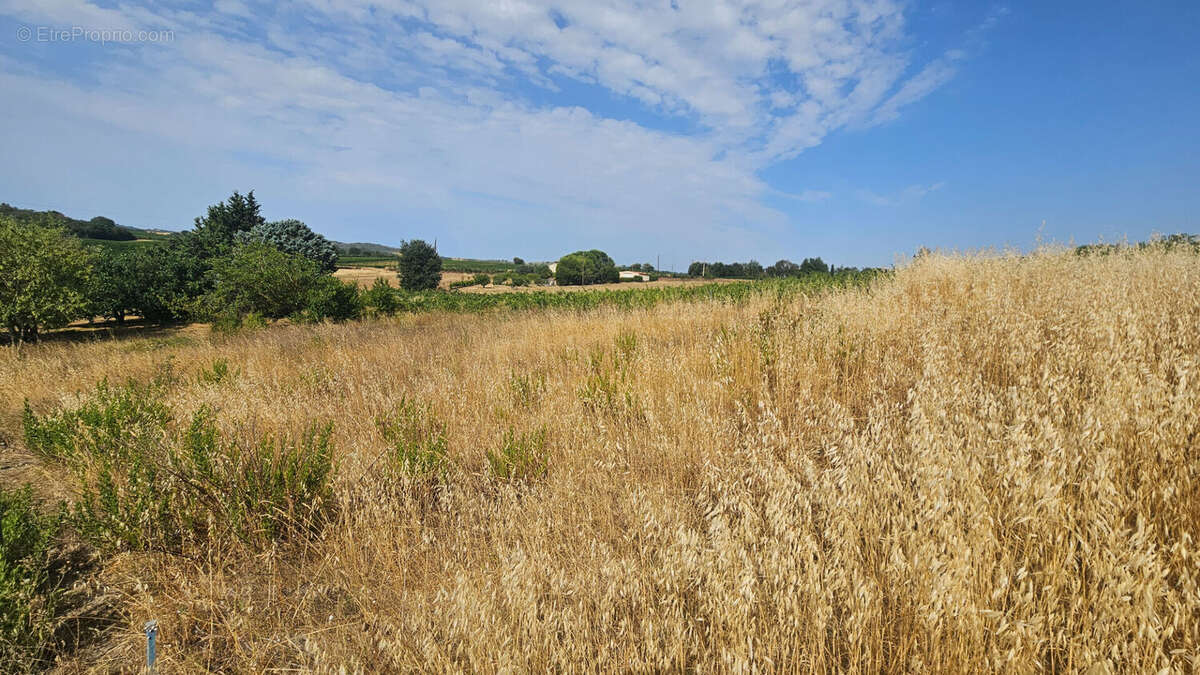 Terrain 1109m² à routier - photo 4