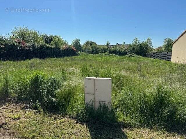 Terrain à CHATEAU-LARCHER