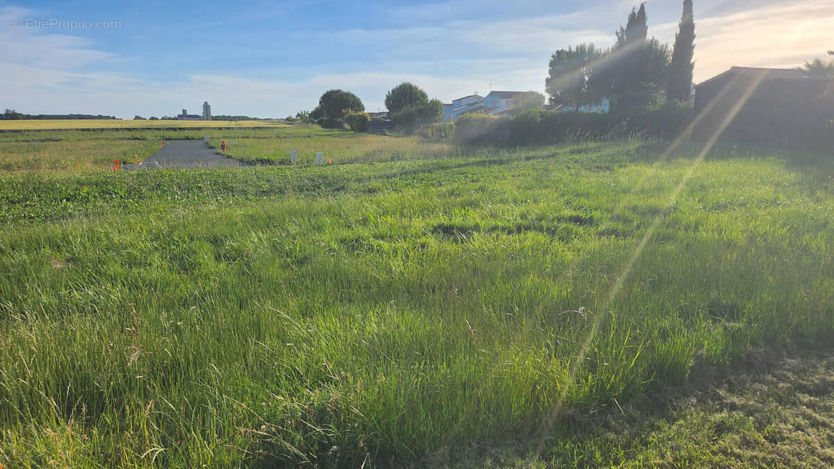 Terrain à MORNAC-SUR-SEUDRE