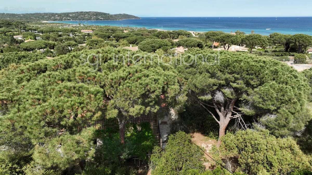 Maison à RAMATUELLE