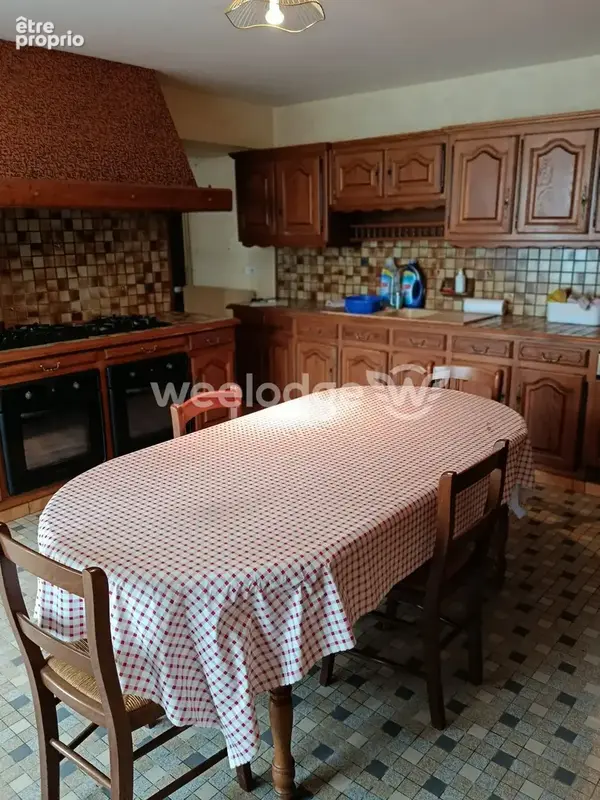 Maison 6 pièces 258 m² à vendre à La Perouille (36350) - photo 6