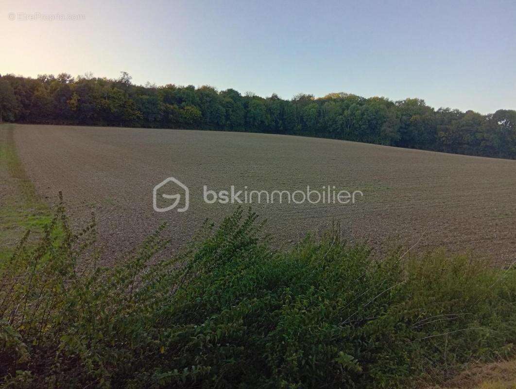 Terrain à SAINTE-GENEVIEVE