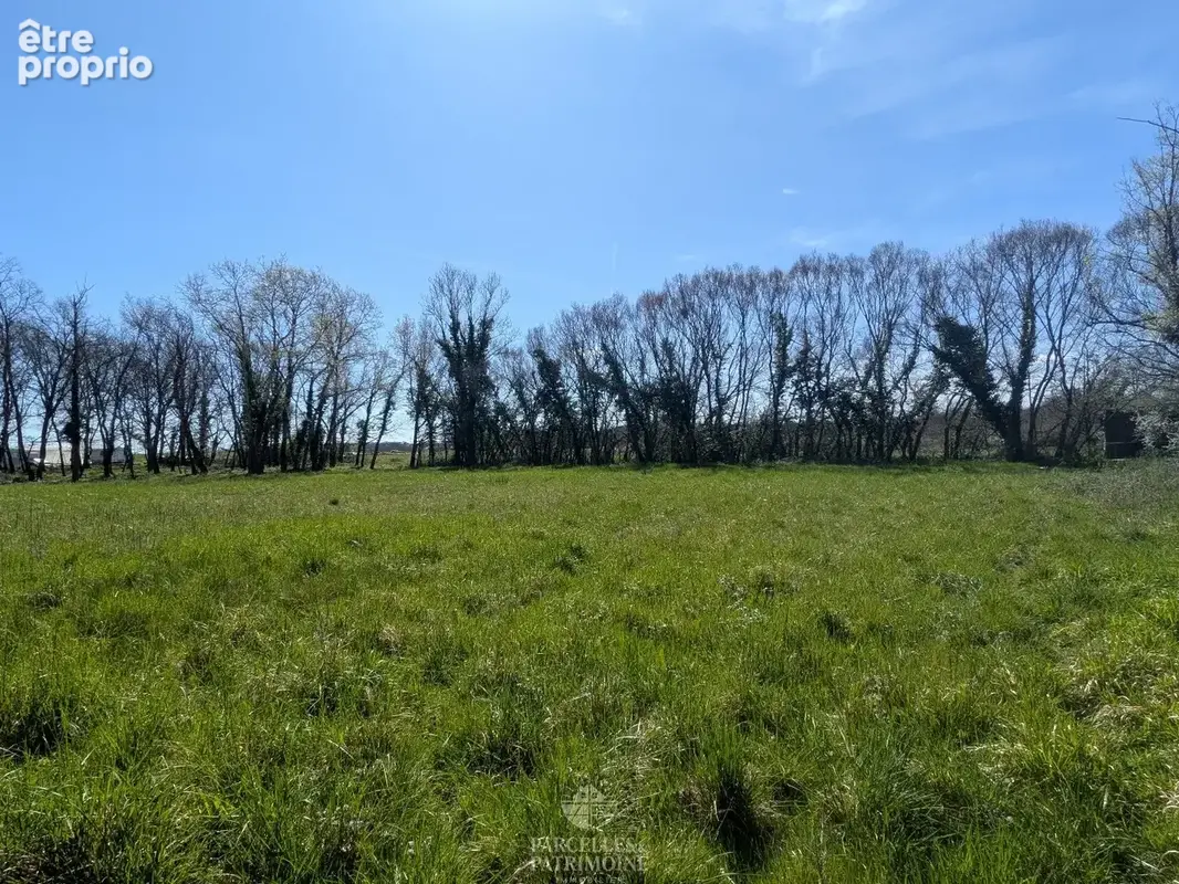 Exclusivité Terrain viabilisé de 3 717m² - photo 3