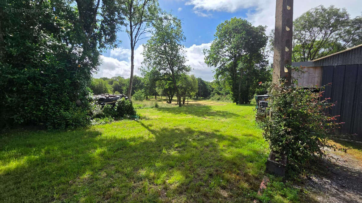 20 min au Sud de Guingamp Maison sur environ 5000m² de terrain avec hangar - photo 13