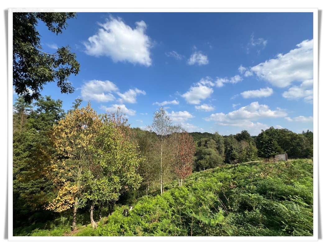 Maison à vendre 6 pièces PLUMELIAU (56) Propriété en pierre au cœur de la nature – Un cadre de vie enchanteur - photo 22