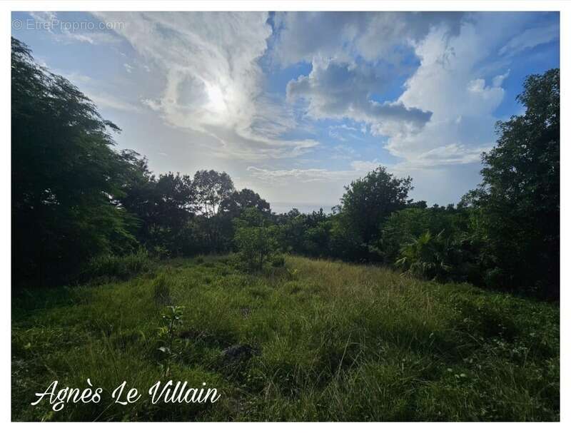 Terrain 2 983 m2 à Bouillante - photo 4