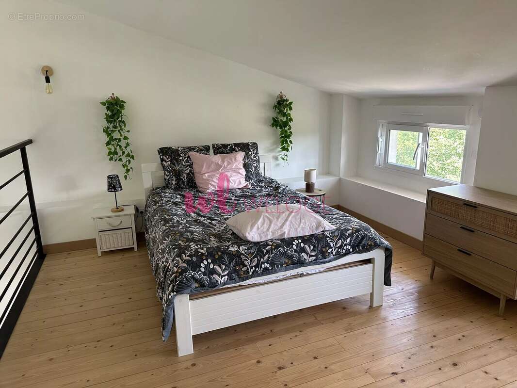 Plassac - propriété 150m² + gîte de charme - photo 14