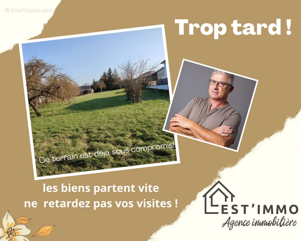 Terrain à VERGAVILLE