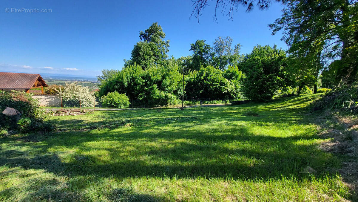 terrain 793m² à vendre à Moissieu sur Dolon - Terrain à MOISSIEU-SUR-DOLON
