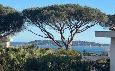 Maison 271 m² à Sainte-Maxime  - photo 2