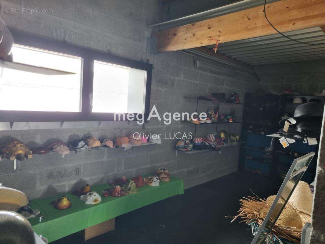 Fond de commerce de produits de déguisement - photo 9