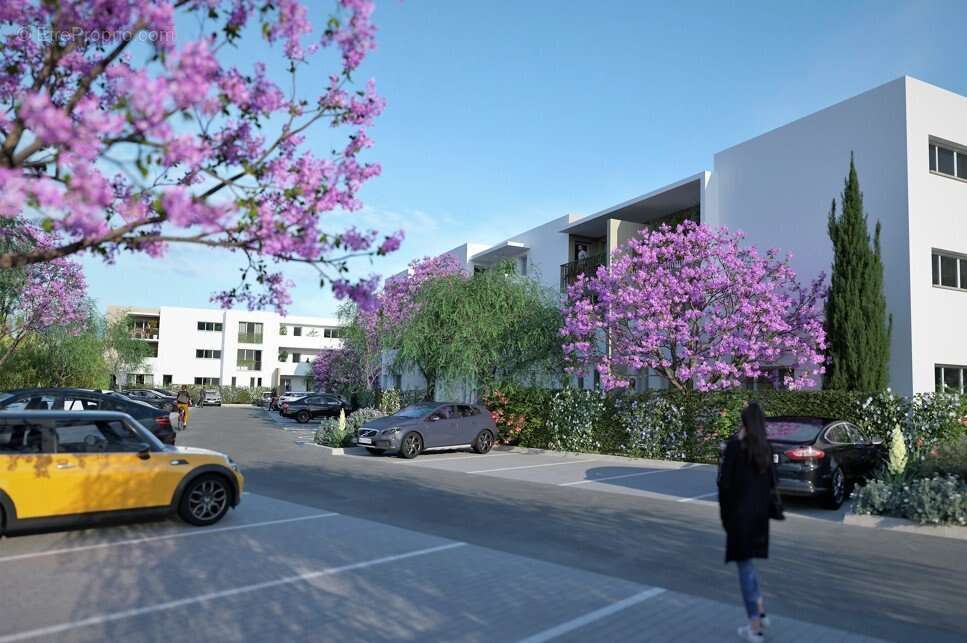 Commerce à ARGELES-SUR-MER