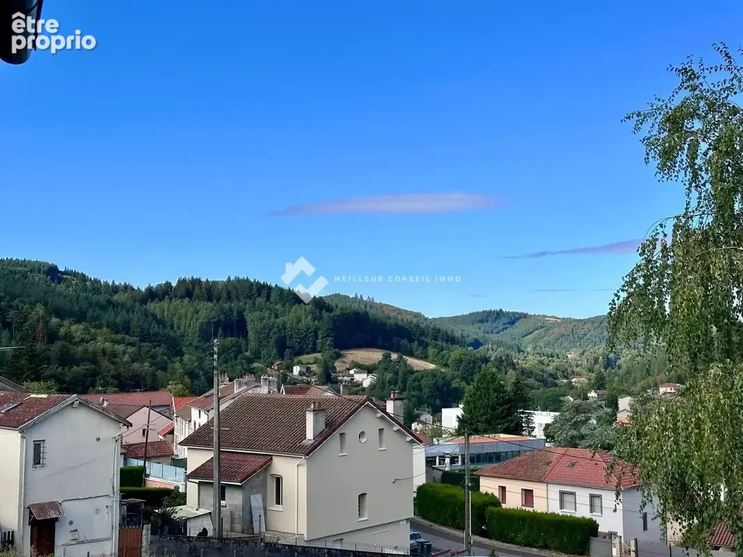 Maison 7 pièces 176 m² à vendre à La Monnerie-Le-Montel (63650) - photo 4