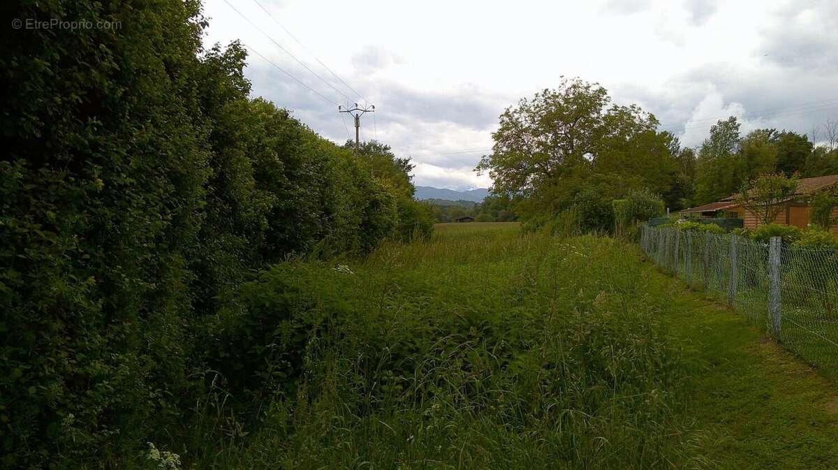 Photo 3 - Terrain à MAZERES-SUR-SALAT