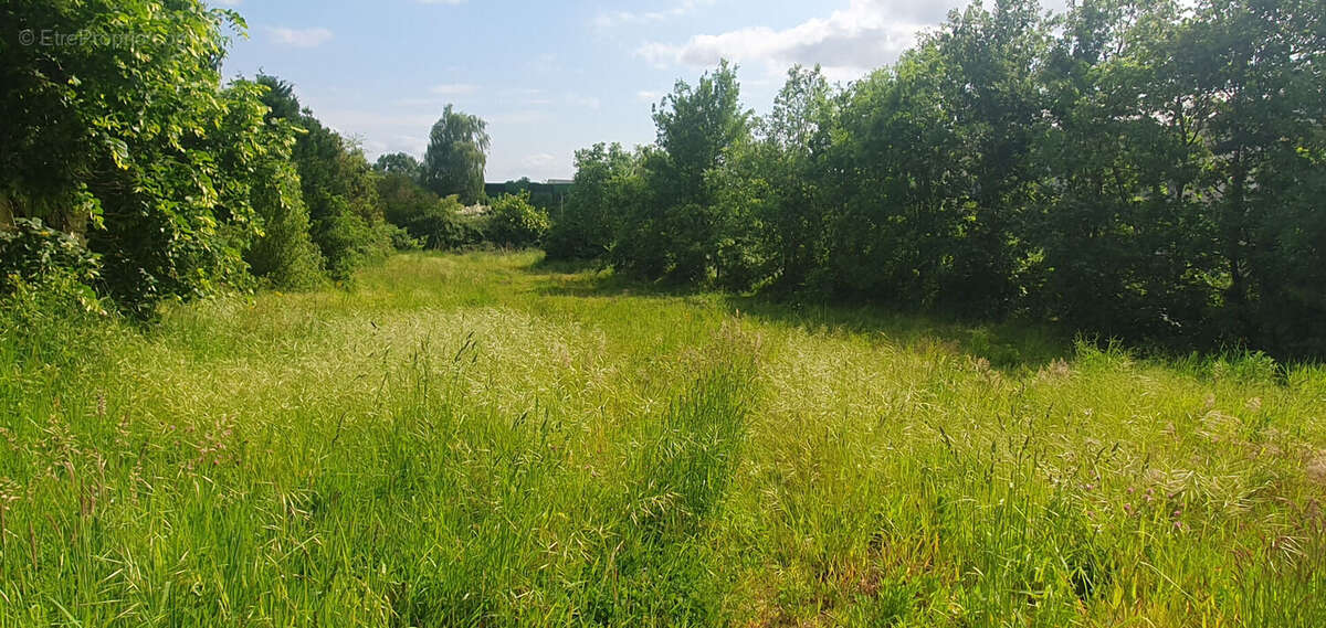 Terrain à SAUMUR