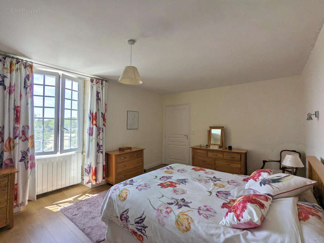 Maison de Maitre à vendre - Vienne - Maison à ROMAGNE