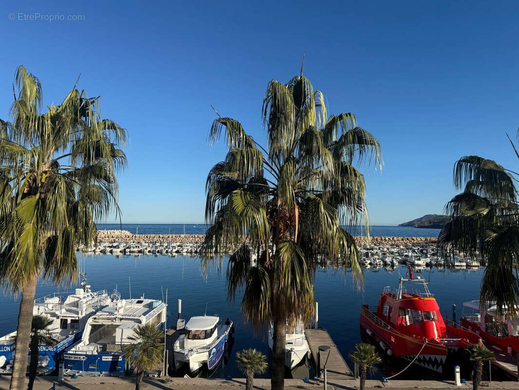 Photo 8 - Appartement à ARGELES-SUR-MER