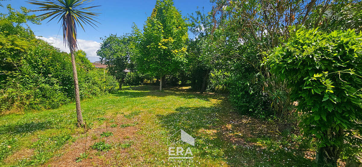 PAREMPUYRE - Maison familiale 160 m² de plain-pied sur 2000 m² de terrain - CALME - photo 3