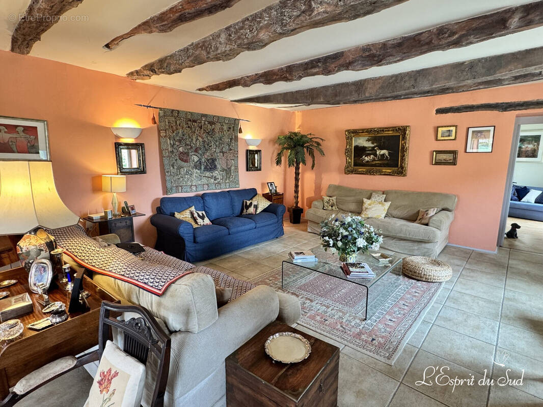 Maison salon - Maison à CORDES-SUR-CIEL