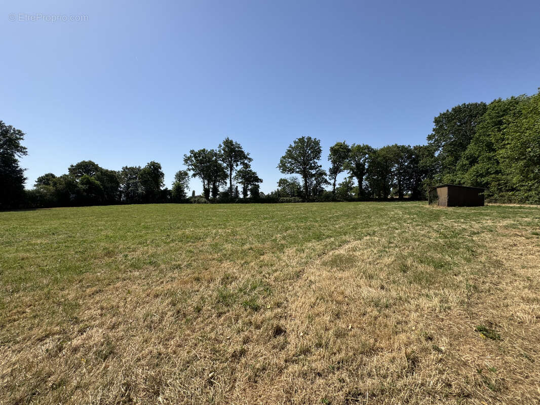 Longère 8 pièces avec piscine et dépendances - photo 4