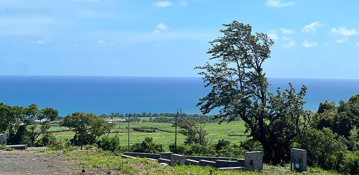 Terrain à SAINTE-MARIE