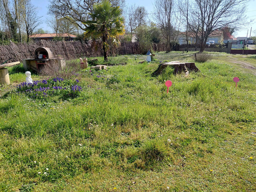 Terrain à ROUANS