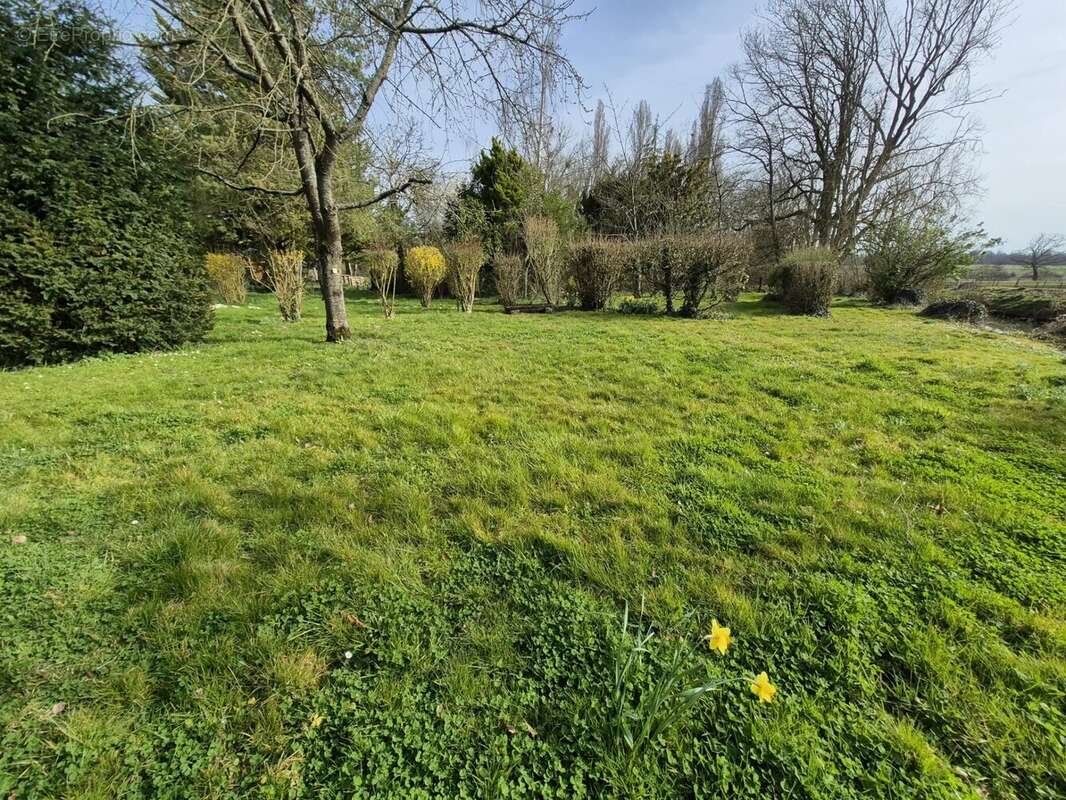 Maison à ROZAY-EN-BRIE