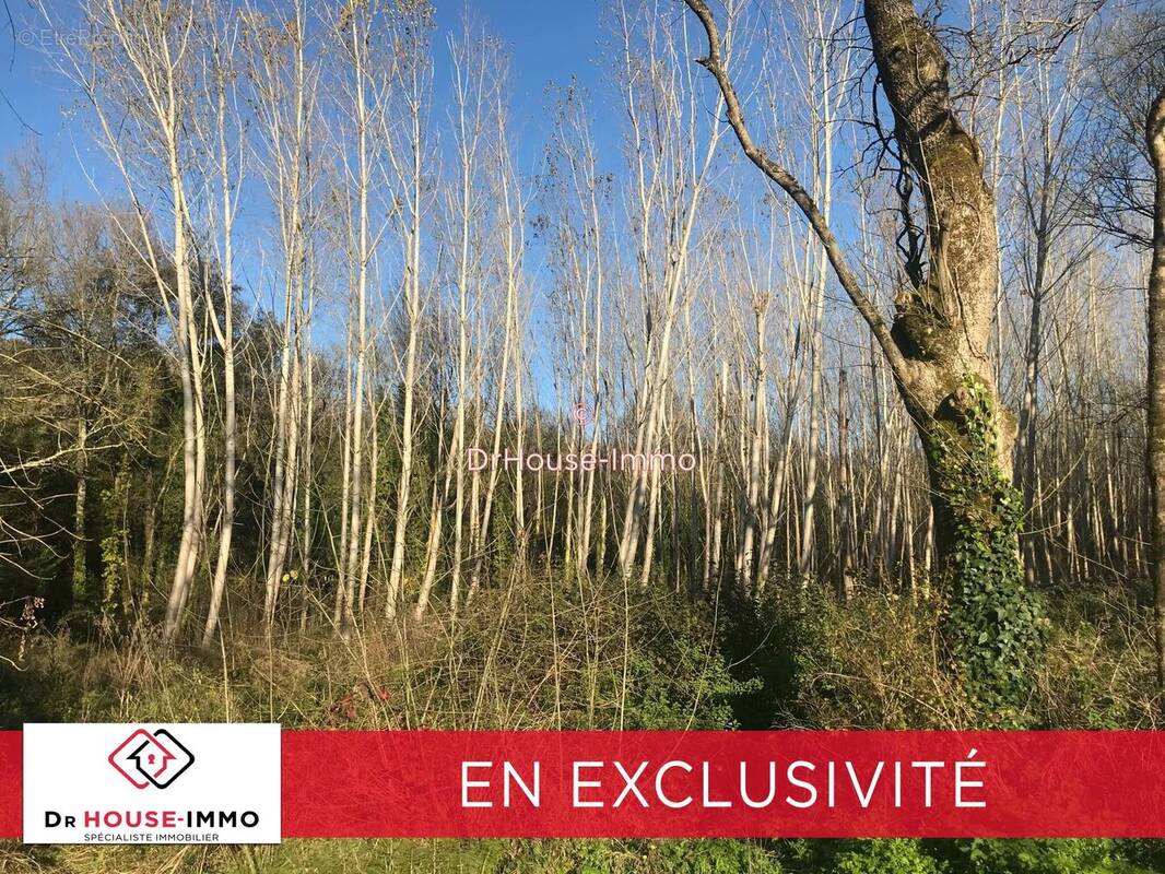Terrain à CUBZAC-LES-PONTS
