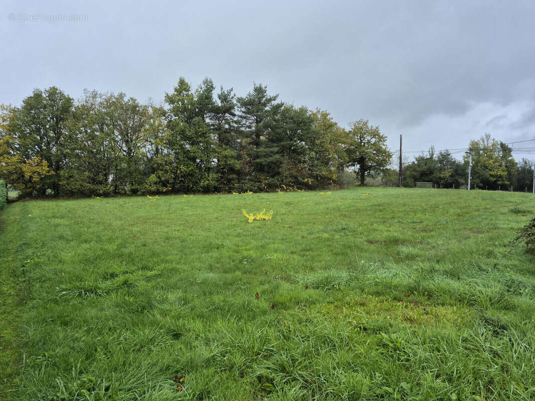 20251022_153044 - Terrain à ABJAT-SUR-BANDIAT