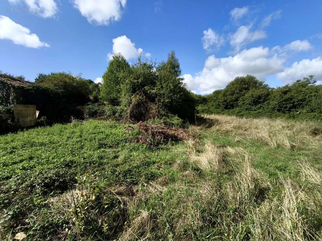 Charmante maison semi-mitoyenne avec granges, verger et plus de 5 000 m² de terrain - photo 13
