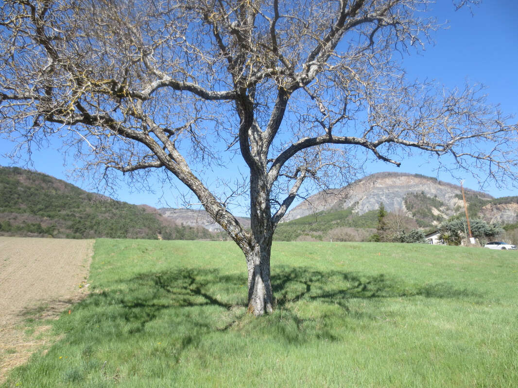 Terrain à AVANCON