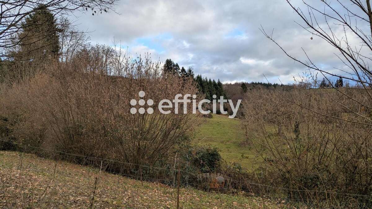 Maison à SAINT-REMY-SUR-DUROLLE