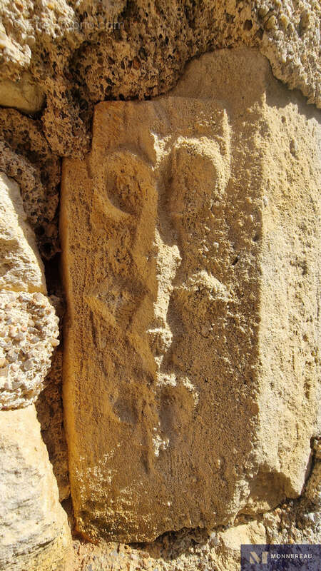 Ancienne ferme - photo 28