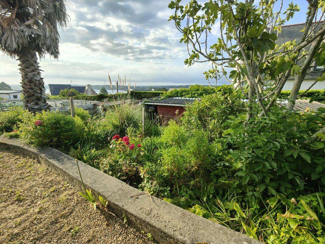 MaIson mitoyenne avec vue mer sur l' Ile Grande - photo 6