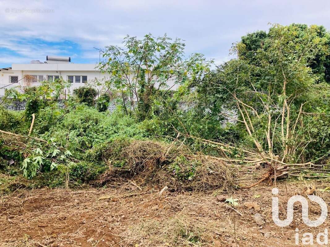 Photo 4 - Terrain à LE TAMPON