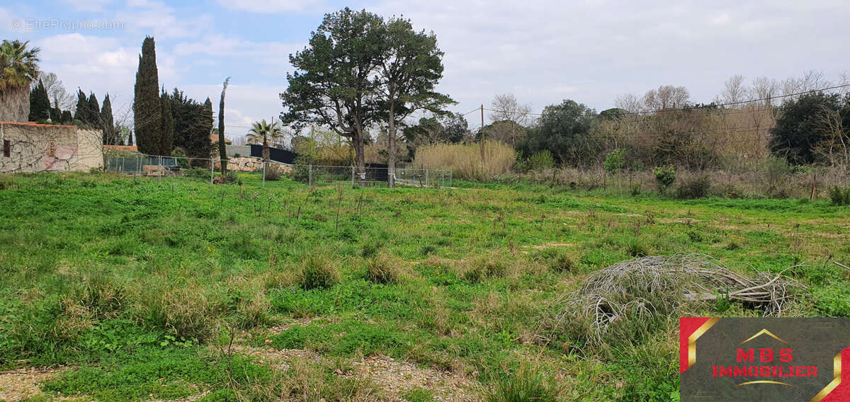 Terrain à PERPIGNAN