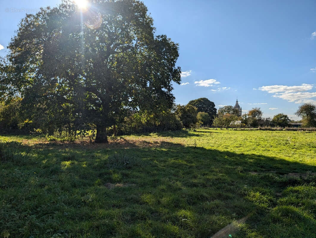 Maison à SAINT-MARD-DE-RENO