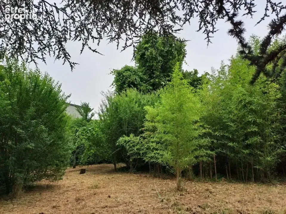 Maison 5 pièces 114 m² à vendre à Romans-Sur-Isere (26100) - photo 7
