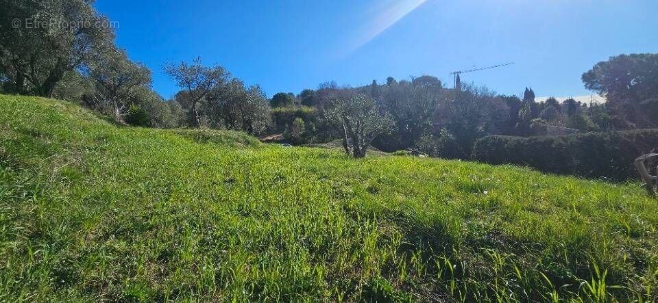 Terrain à GRASSE